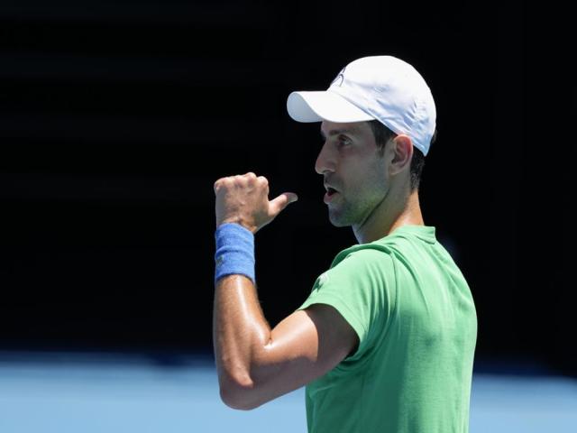 Djokovic in Australian Open draw as visa saga continues