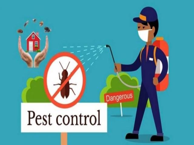 Selecting a Pest Control Company